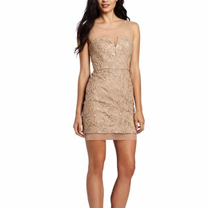 BCBGMAXAZRIA “Abigail” Mini Dress Embroidered Sheer Nude Champagne Size 2 NWT